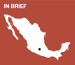 全球遗产保护更新案例集 ③︱砖瓦重生城市重构：墨西哥城政商巨